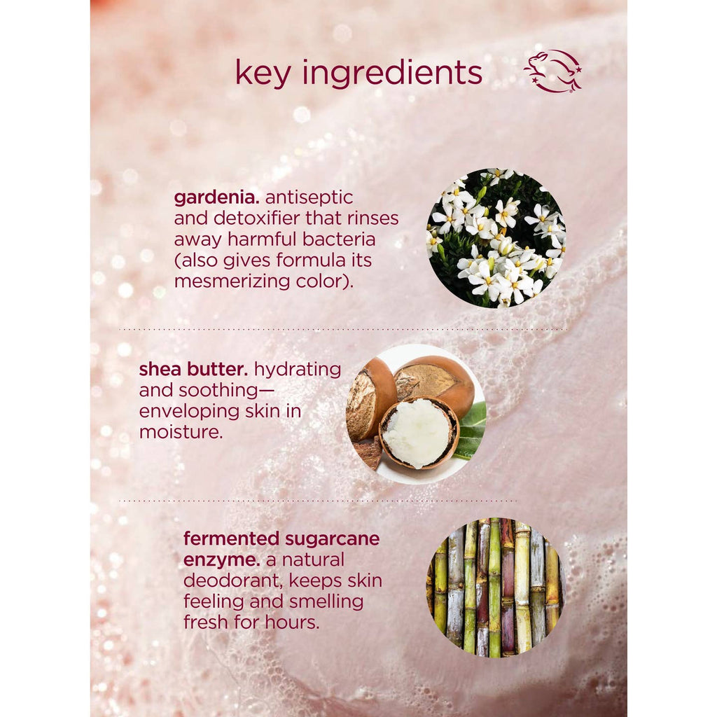 Cocoon Cleanse - Solid Serum Cleanser