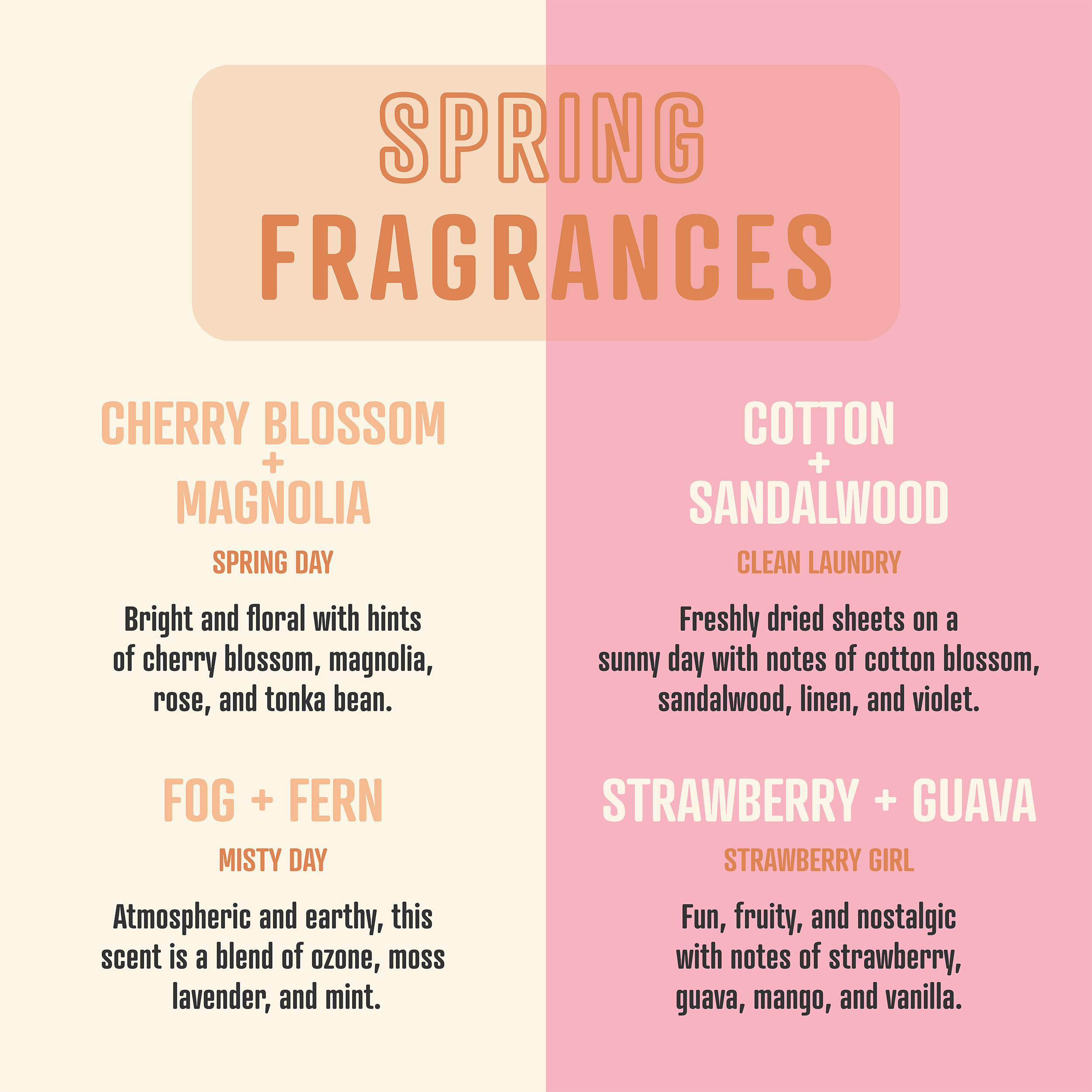 Smells Like The White Lotus | Soy Wax Scented Candle
